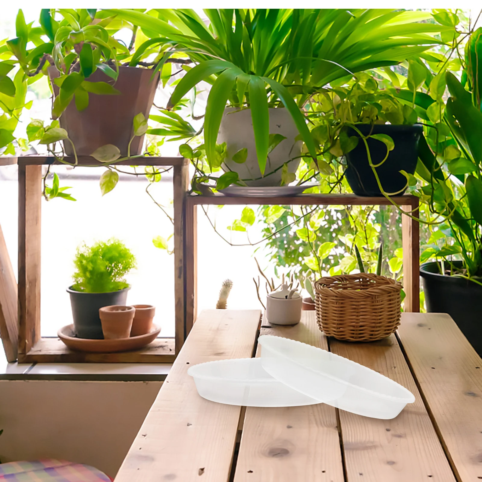 

5pcs Flowerpot Tray 16.5Cm Plastic Plant Saucer For Bonsai Succulents Heat Resistant Non-Slip Drainage Tray Small Pot Saucers