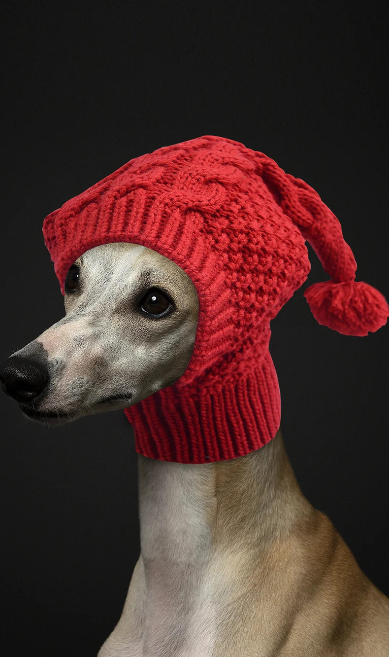 Weiche, dehnbare, gestrickte Hundemütze mit Bommel, winddichte, warme Winter-Hundekopfbedeckung, gemütliche Haustiermütze für Spaziergänge im Freien. – Detail 5