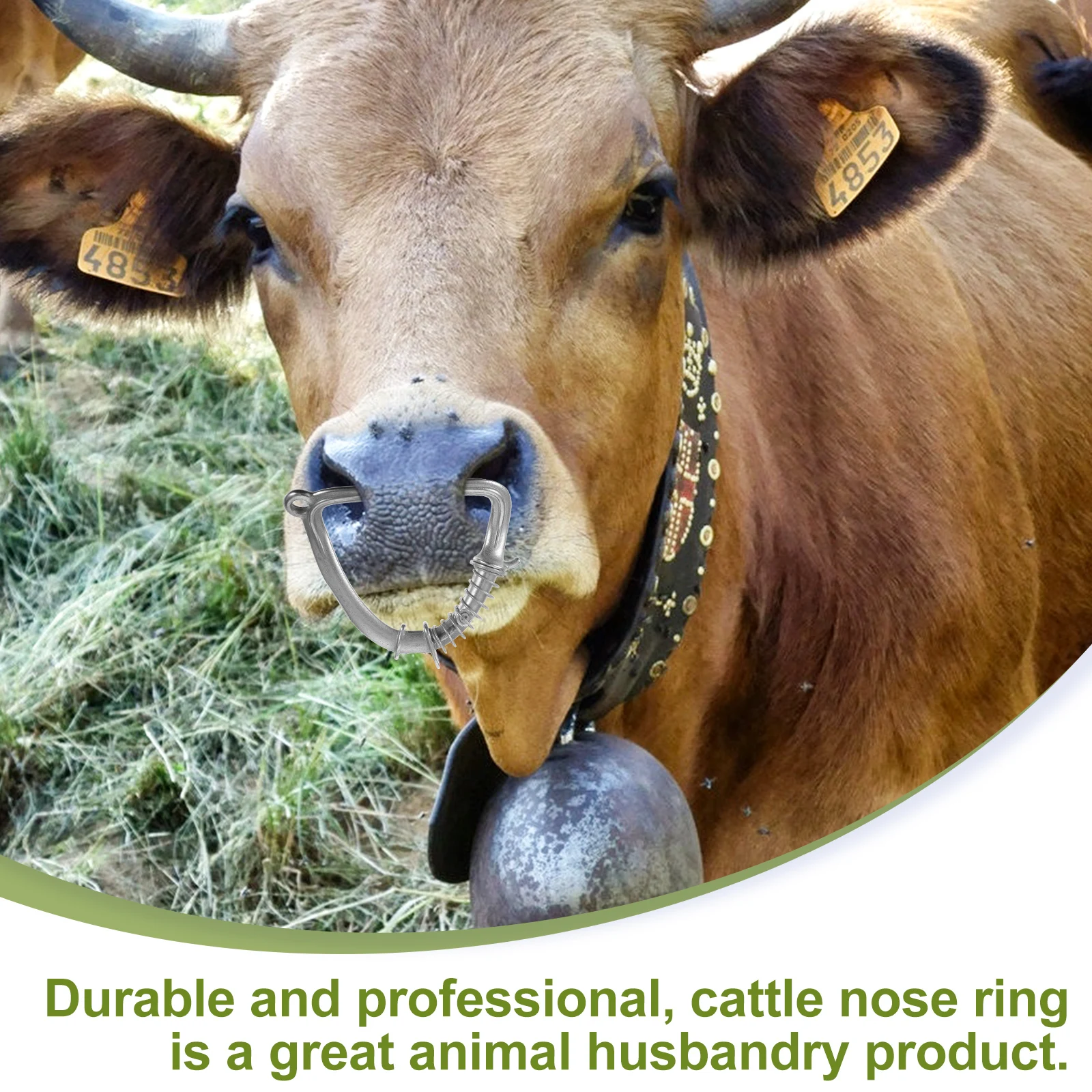 Stainless Steel Livestock Nose Clip Durable Metal For Cow Traction Spring Design Professional Tool Cattle Accessories Cattle
