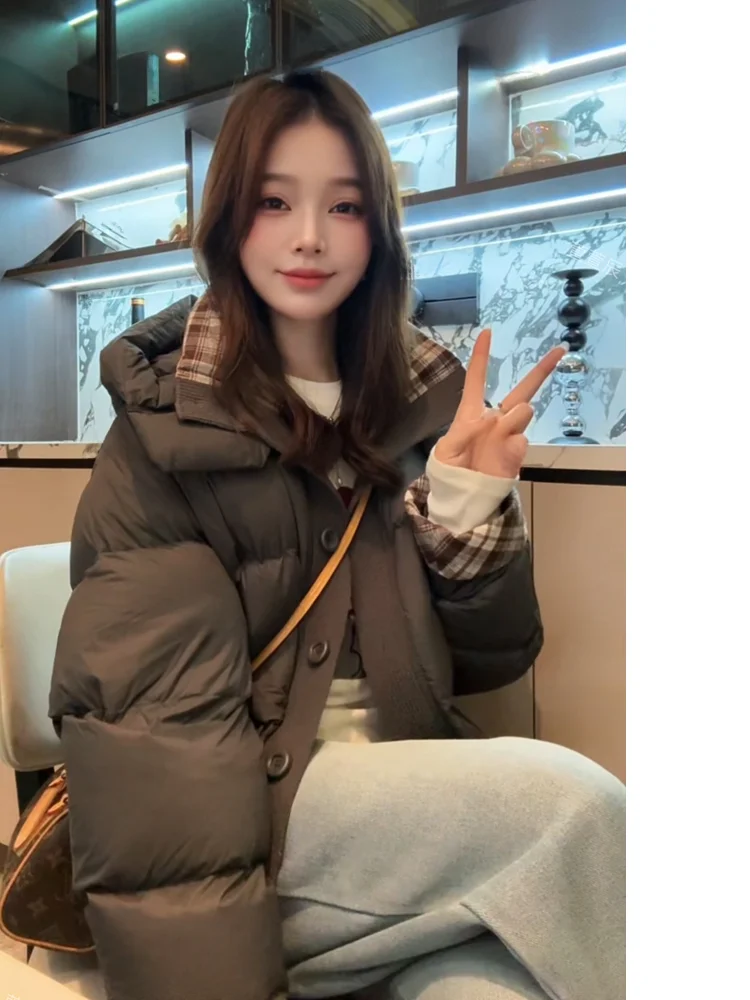 

Утепленное зимнее пуховое пальто свободного кроя с капюшоном, 90% белый пух, теплое, повседневное, средней длины, на молнии