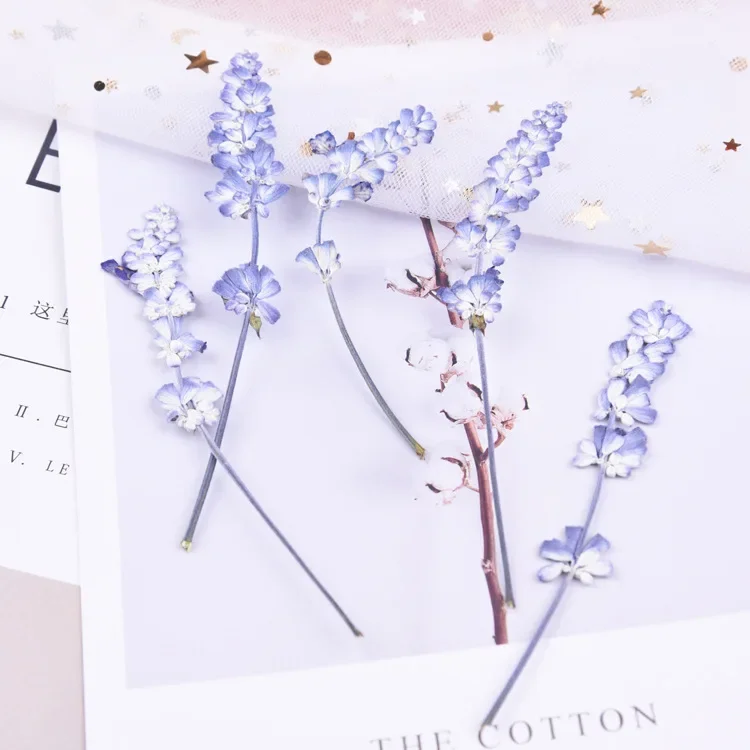 16pcs/lot,Natural Pressed flowers with stem,Eternal real rose flowers for DIY Wedding invitations Craft Photo Bookmark Gift Card image 2