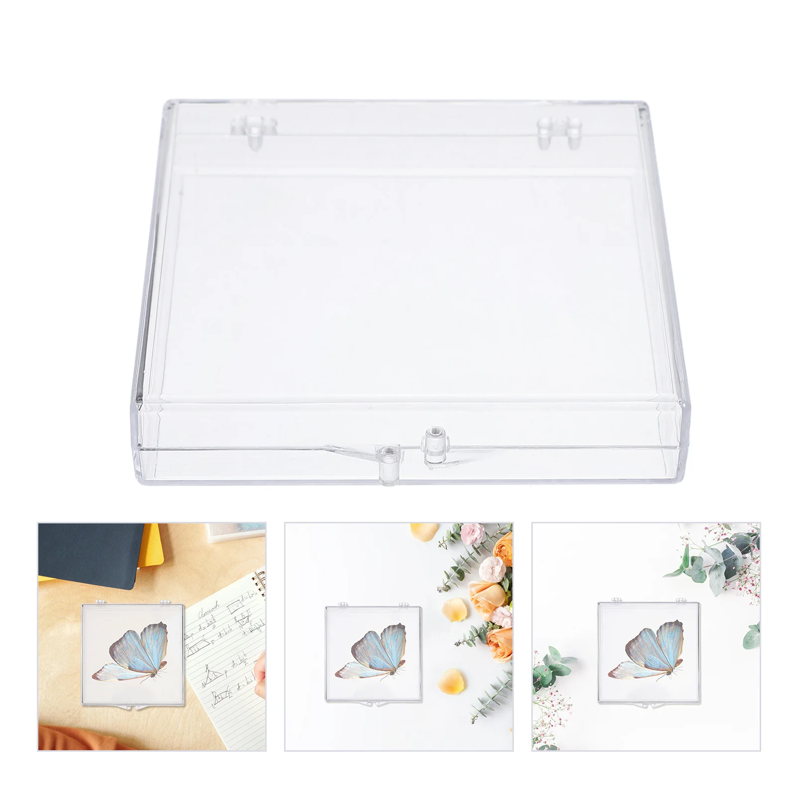 

6Pcs Transparent Butterfly Specimen Box Crystal Clear Hinged Plastic Display Case for Insect Preservation and Home Decor