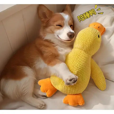 Pet plush toys, dogs, cats, large, medium, and small dogs for relaxation, interactive vocalizations, and companion toys