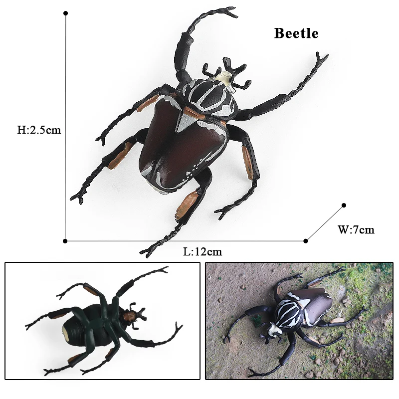Oenux Simulation Libelle Heuschrecke Tausendfüßler Wildes Insekt Tiere Modell Actionfiguren Miniatur Bildung Sammlung Kinderspielzeug – Detail 14
