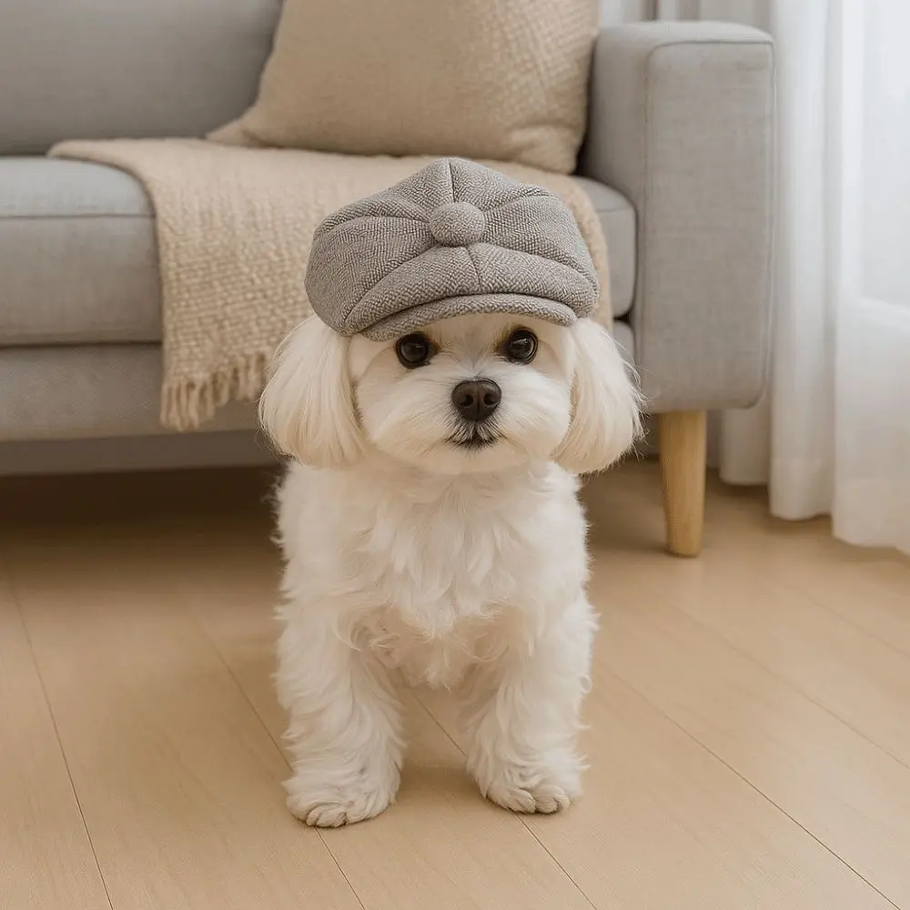 Retro Pet Beret Hat…