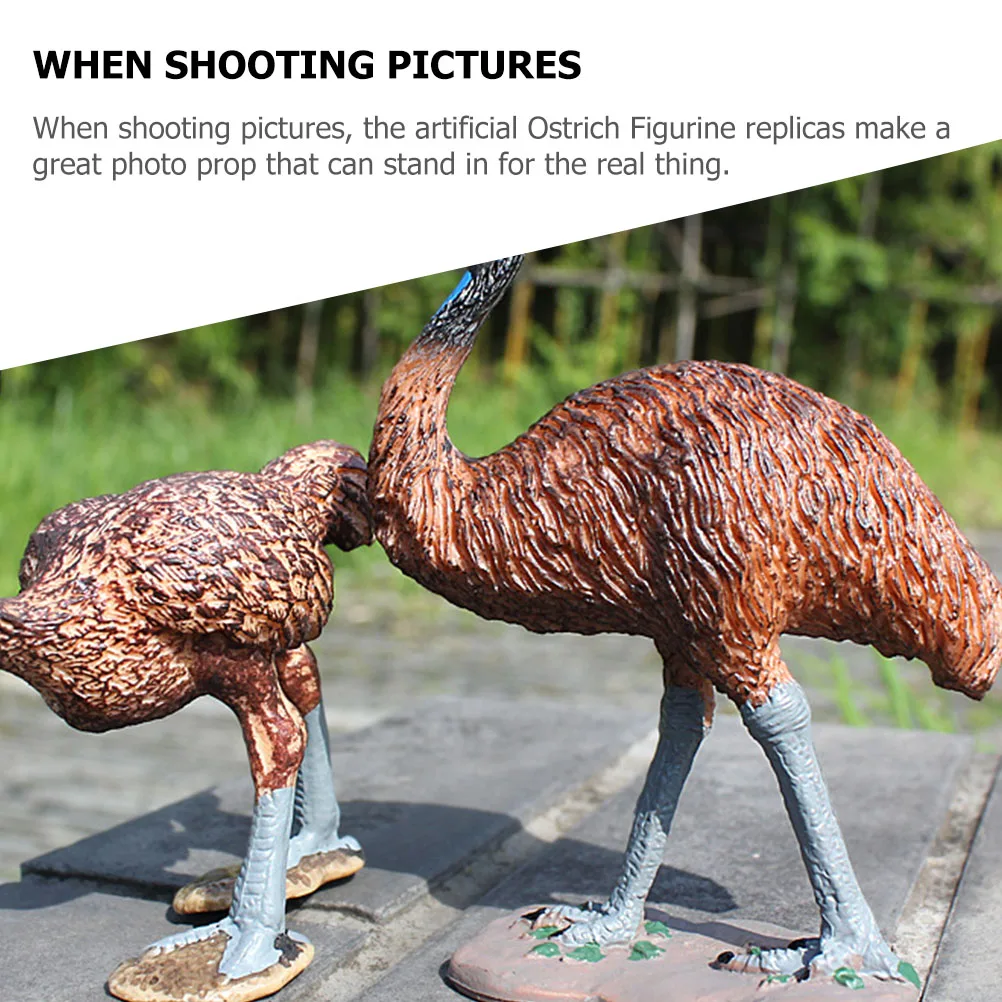 

Lifelike Ostrich Figurine Plastic Statue Kids Decor Toy Home nament Small Desk Decor Animal Craft Miniature Model