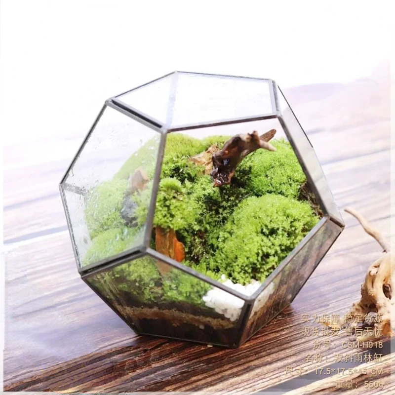 Multi Sided Irregular Glass Vase Plant Moss Micro Landscape Flower Pot Rainforest Landscaping Flower House