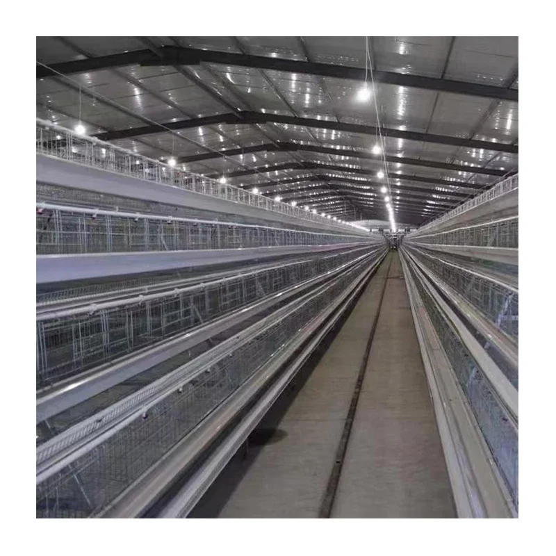 battery chicken layer cage sale for africa farm, layer poultry a-type battery chicken cage