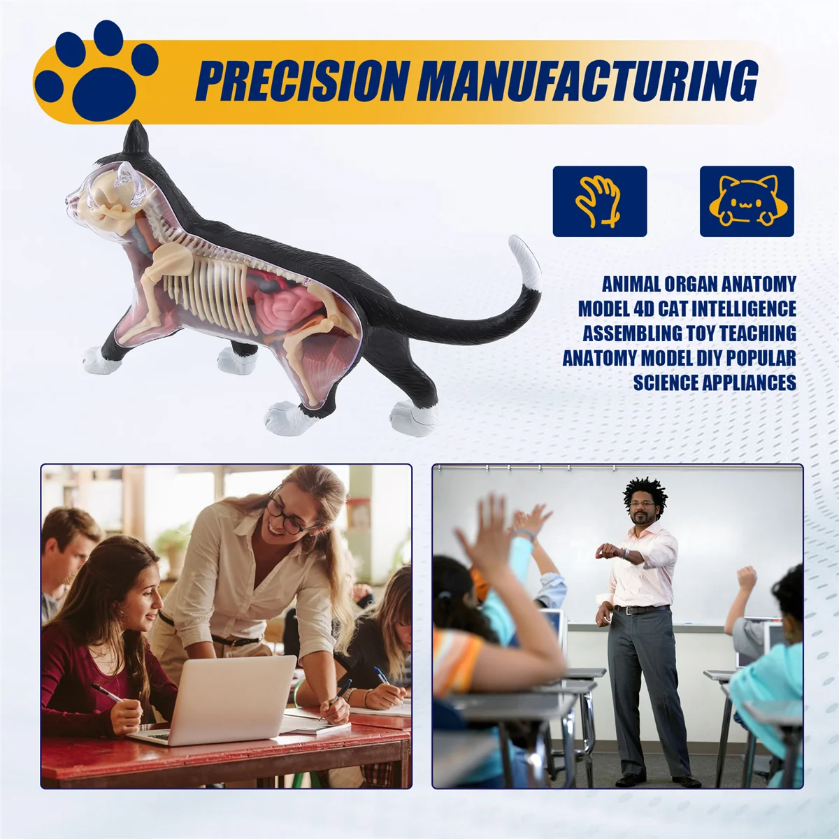 A51I Tier Orgel Anatomie Modell 4D Katze Intelligenz Montage Spielzeug Lehre Anatomie Modell DIY Geräte
