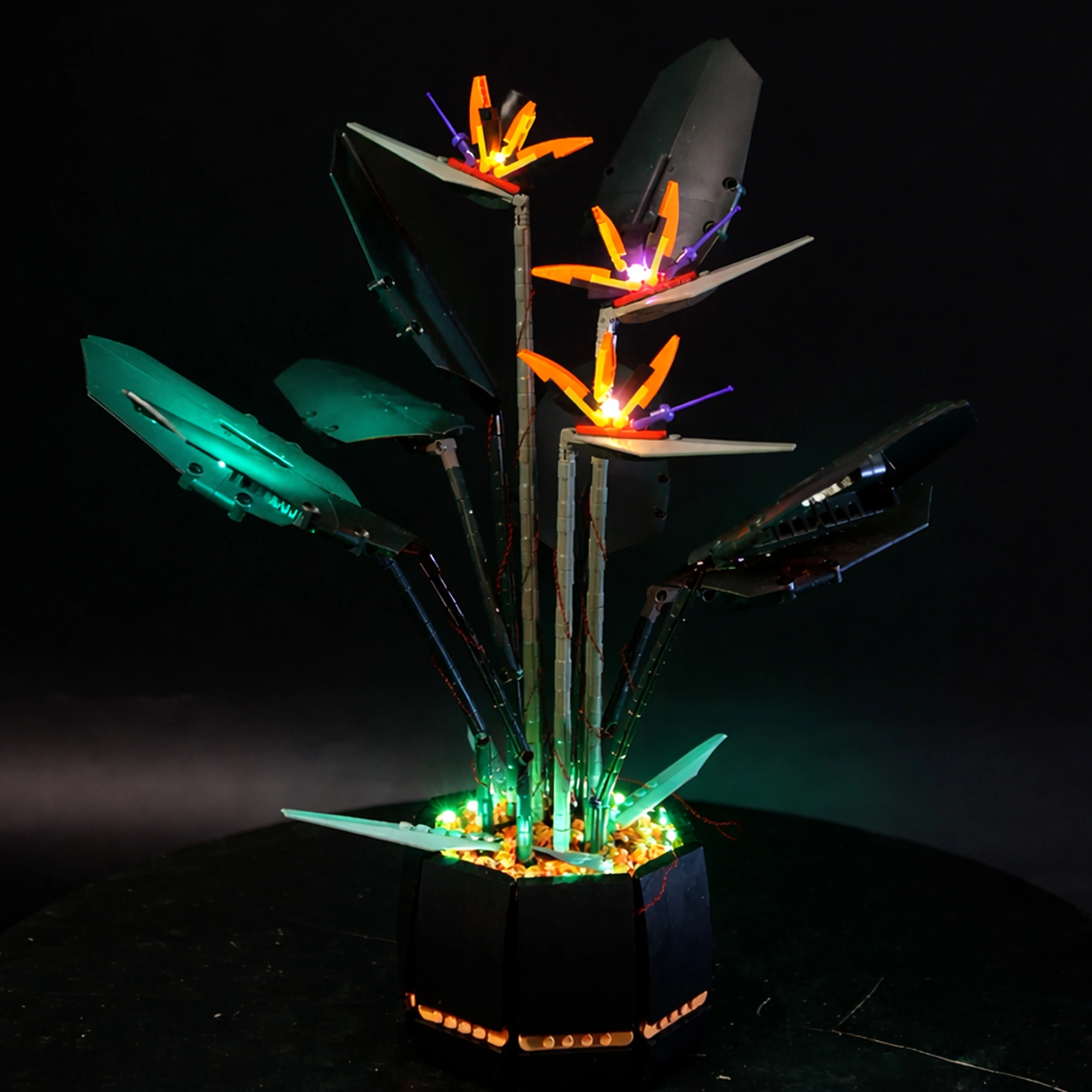 LED Lighting Kit Compatible with 10289 Bird of Paradise Plant Model Decorative Light Set for Display (Lights Only) view 3