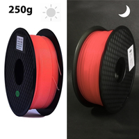 PLA Luminous Filament Rainbow Noctilucent Pink Red Blue Luminous For PLA 3D Printing Plastic wire Vacuum Packaging 1.75MM 250g