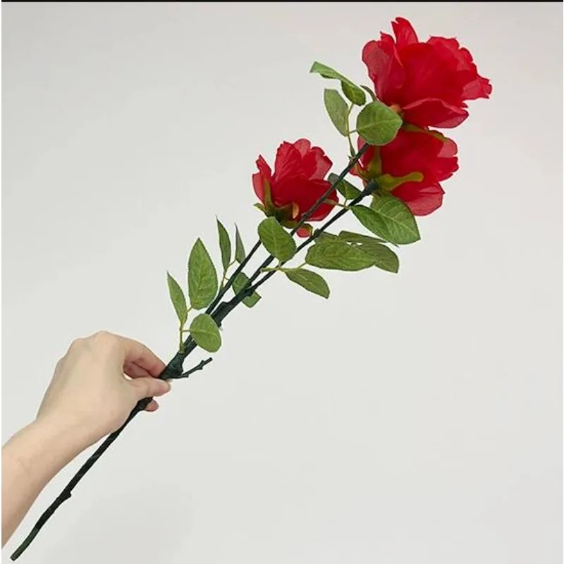 

Remote Control - Super Light Rose Queen (Charging Version) Magic Tricks Flower Magia Stage Illusions Gimmicks Mentalism Props