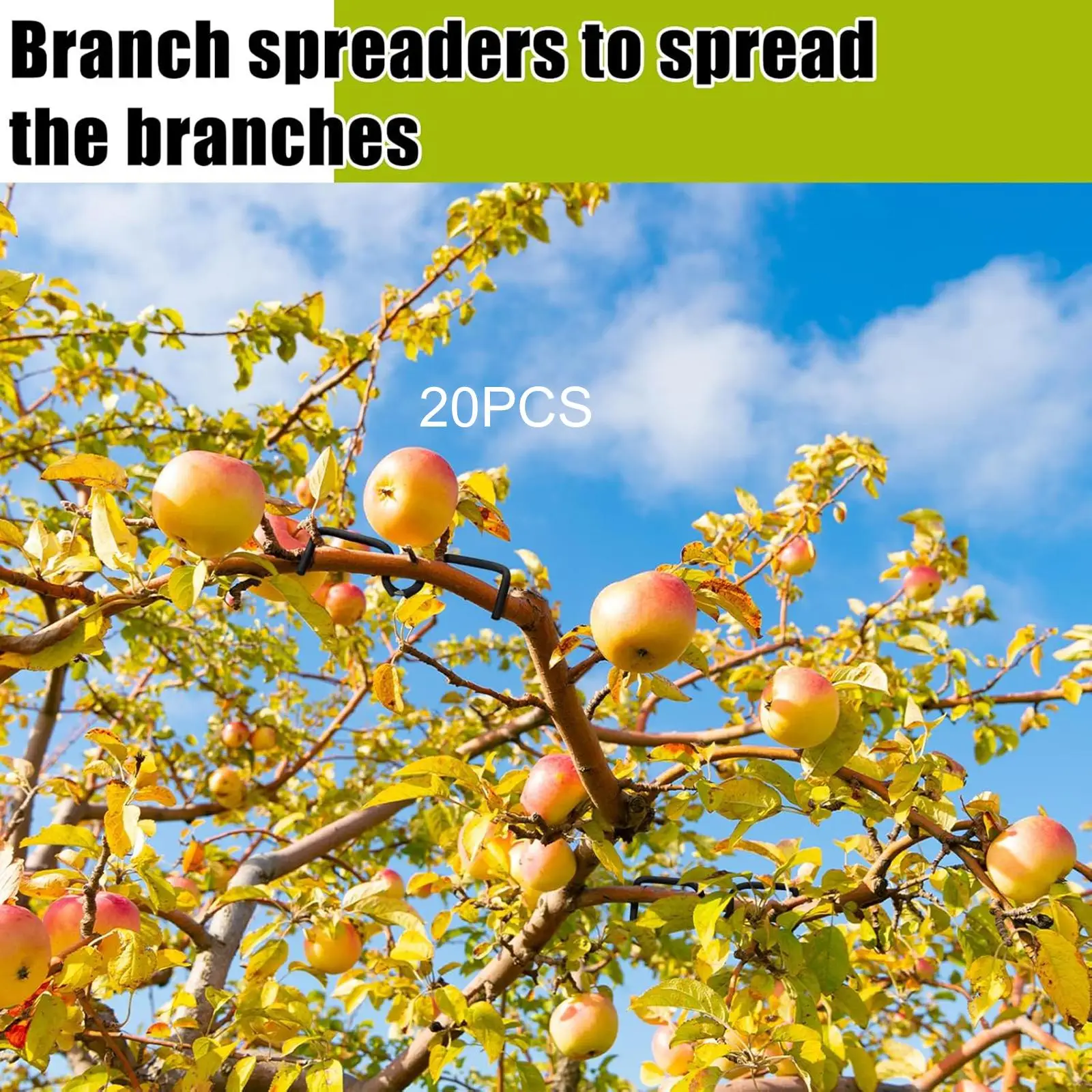 Fruit Tree Branch Bending Tools Soft Hose Non Damaging Garden Spreader for Fruit Tree Outside Use