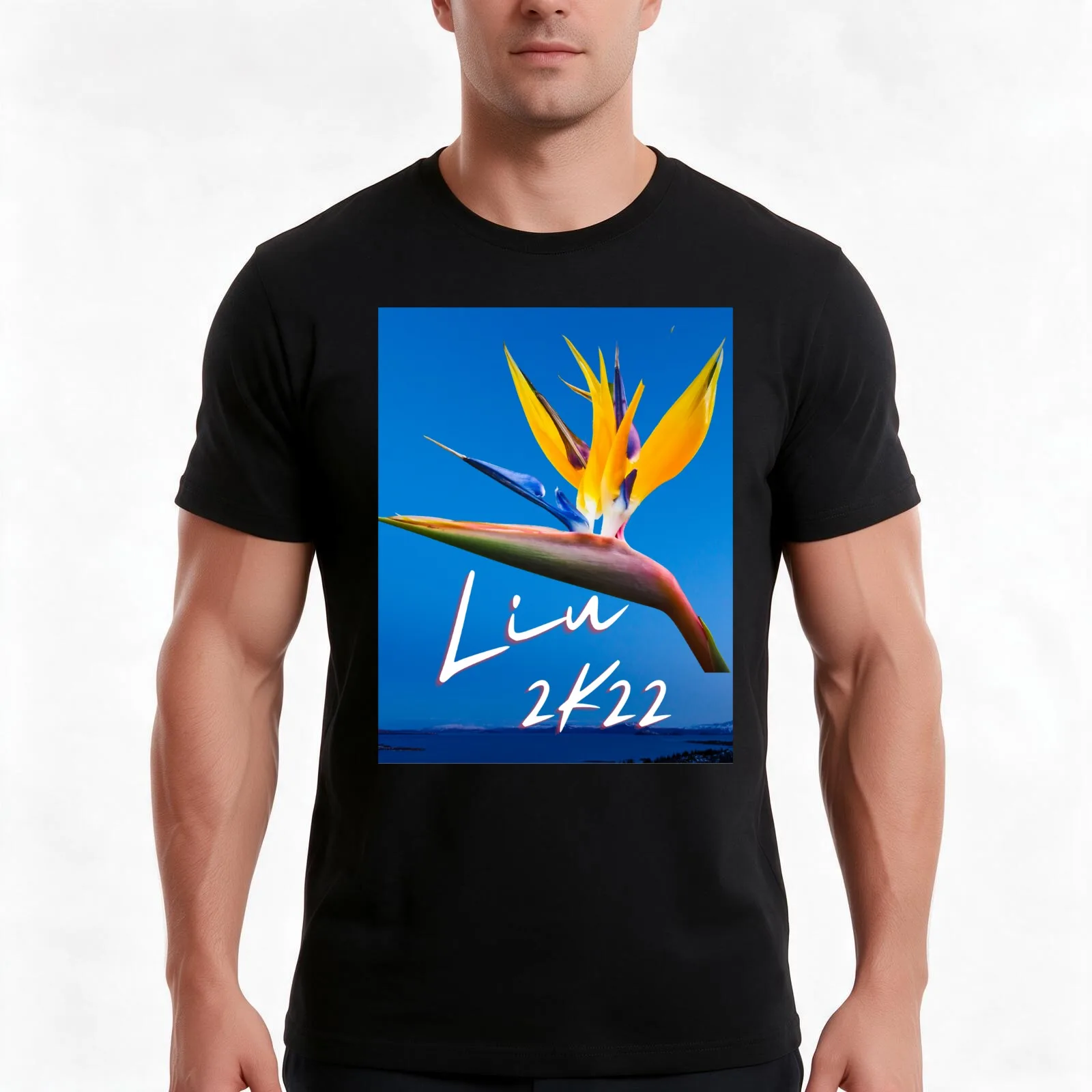 Liu famous Samoan Polynesian name Pago Pago American Samoa T-Shirt, Summer Casual Cotton Tee, Oversized Streetwear Tops