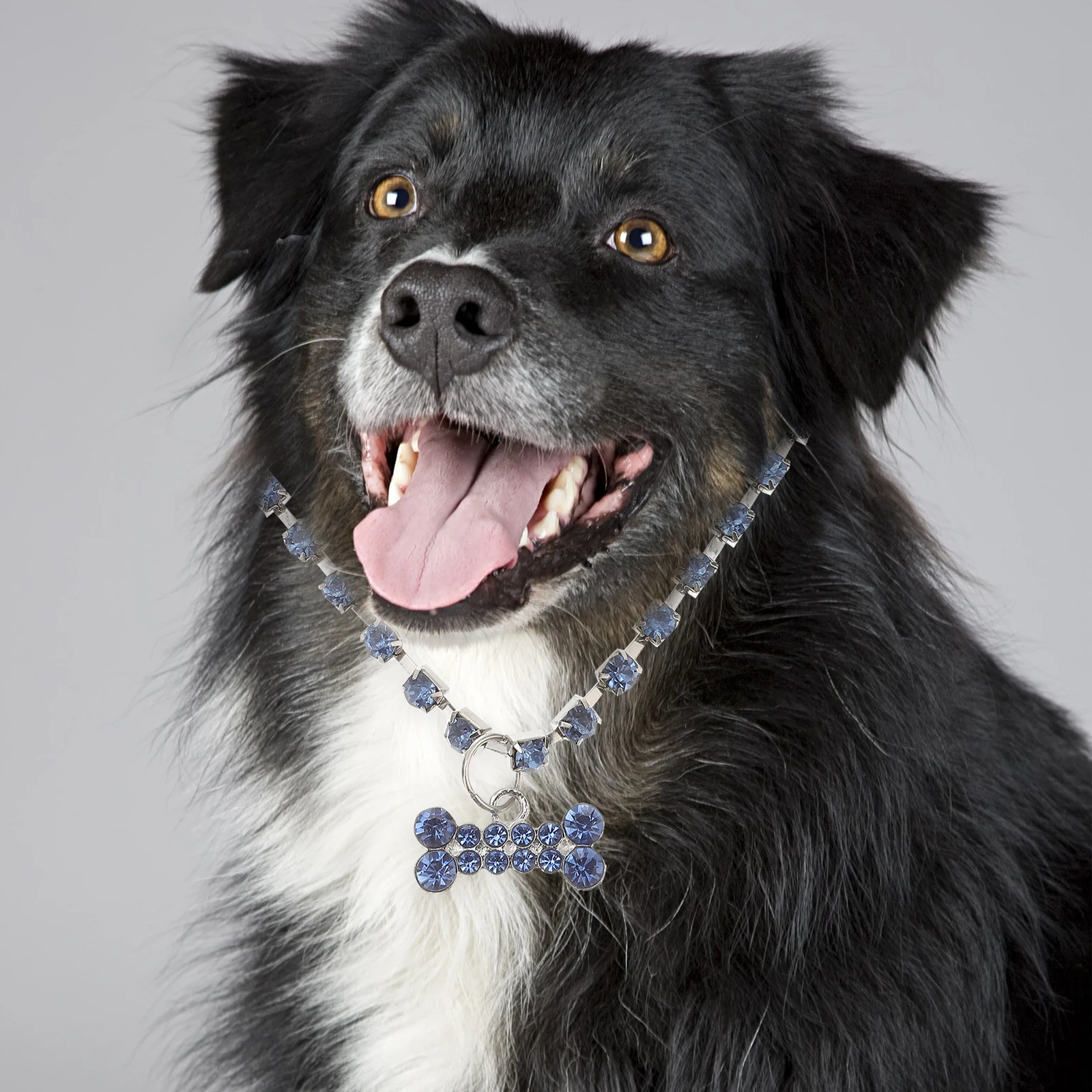 

Bone Necklace Dog for Jewelry Pet Decoration Collar Necklaces Dogs to Wear Cat and Chains Pets