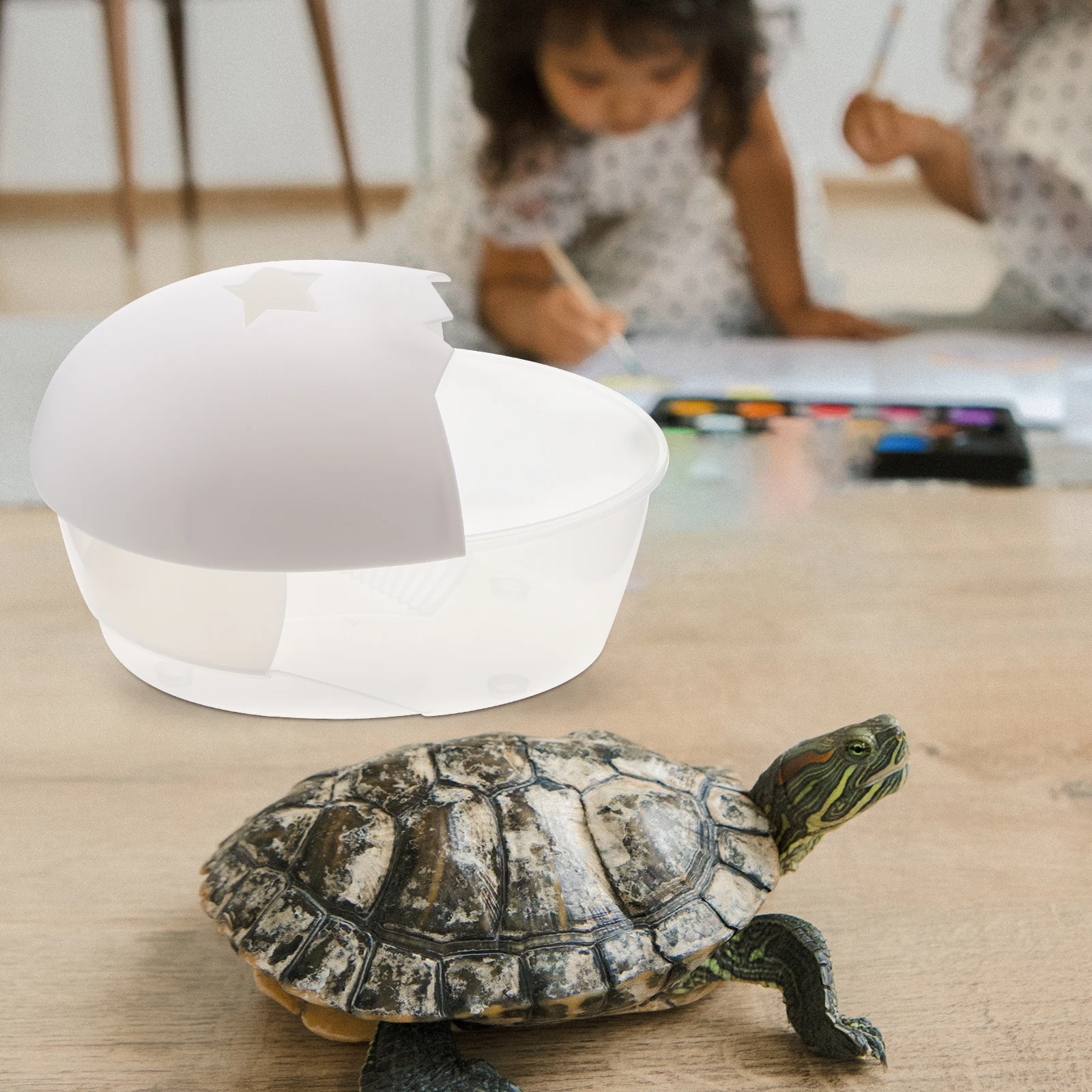 

Turtle Terrarium Basking Turtle Terrarium Platform Durable PP Leak Proof Aquarium Reptile Feeding Pet Decor Accessories