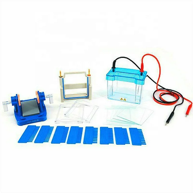 

NEW Gel Electrophoresis Cell Mini Modular Dual Vertical Protein Electrophoresis Tank JSDY-24DN For SDS-PAGE Protein Experiment