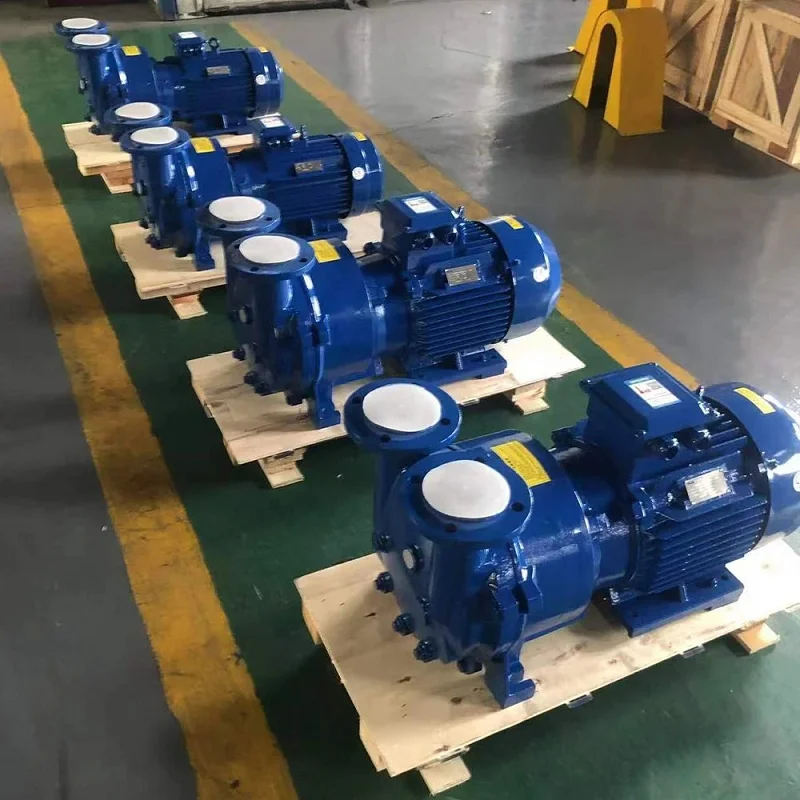 Factory Direct Light Industry 2BV Water Liquid Ring Stainless Steel Vacuum Pump 5kw Liquid Ring Vacuum Pump with Compressor