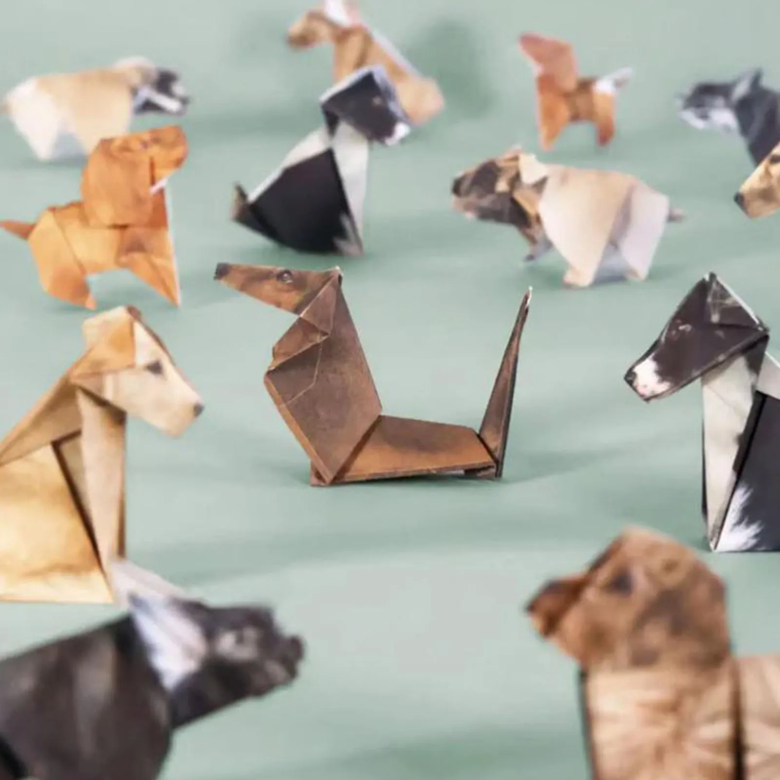 50 pçs decorativo papercraft artesanato conjunto artesanal animal dobrável conjunto de papel criativo origami animal kit para decoração para casa presentes