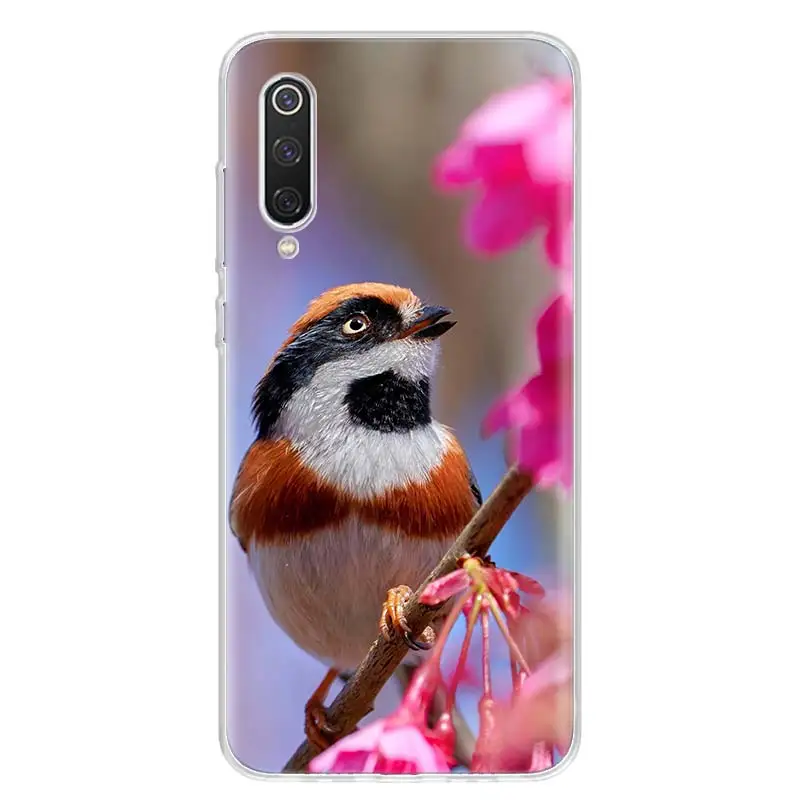 Magpie bird Cover Phone Case For Xiaomi Redmi Note 13 12 12S 11 11S 10 10S 9 9S 11T 11E Pro Plus 8 8T 7 + Coque Cover For Xiaomi