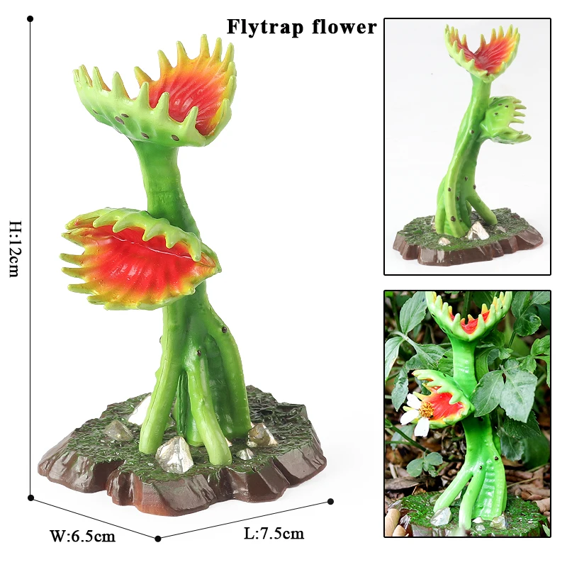 Oenux Chomper Venus Flytrap Drosera indica L. Mushroom Saguaro