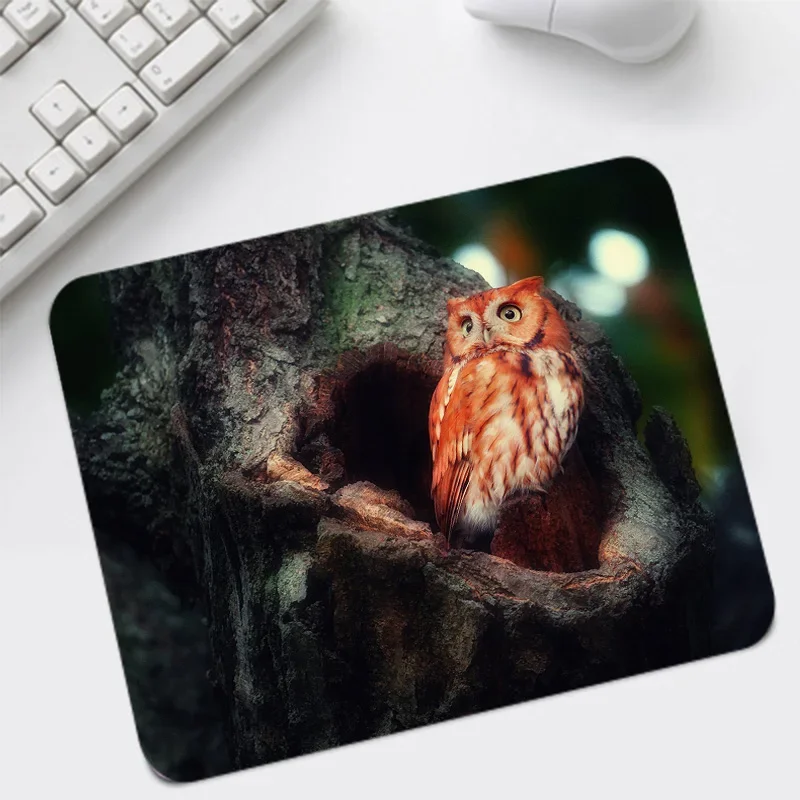 MRGBEST Big Promotion Small Mouse-pad Animal Owl Desktop Game Pad 220x180mm Provide Comfort Personality Table Pads for Gamer