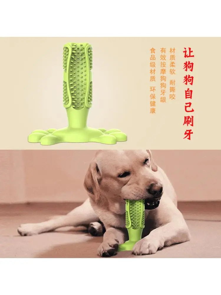 

Bite-Resistant Toothbrush for Dog, Teeth Cleaning Supplies, Medium and Large Dog, Oral Cleaning Toys