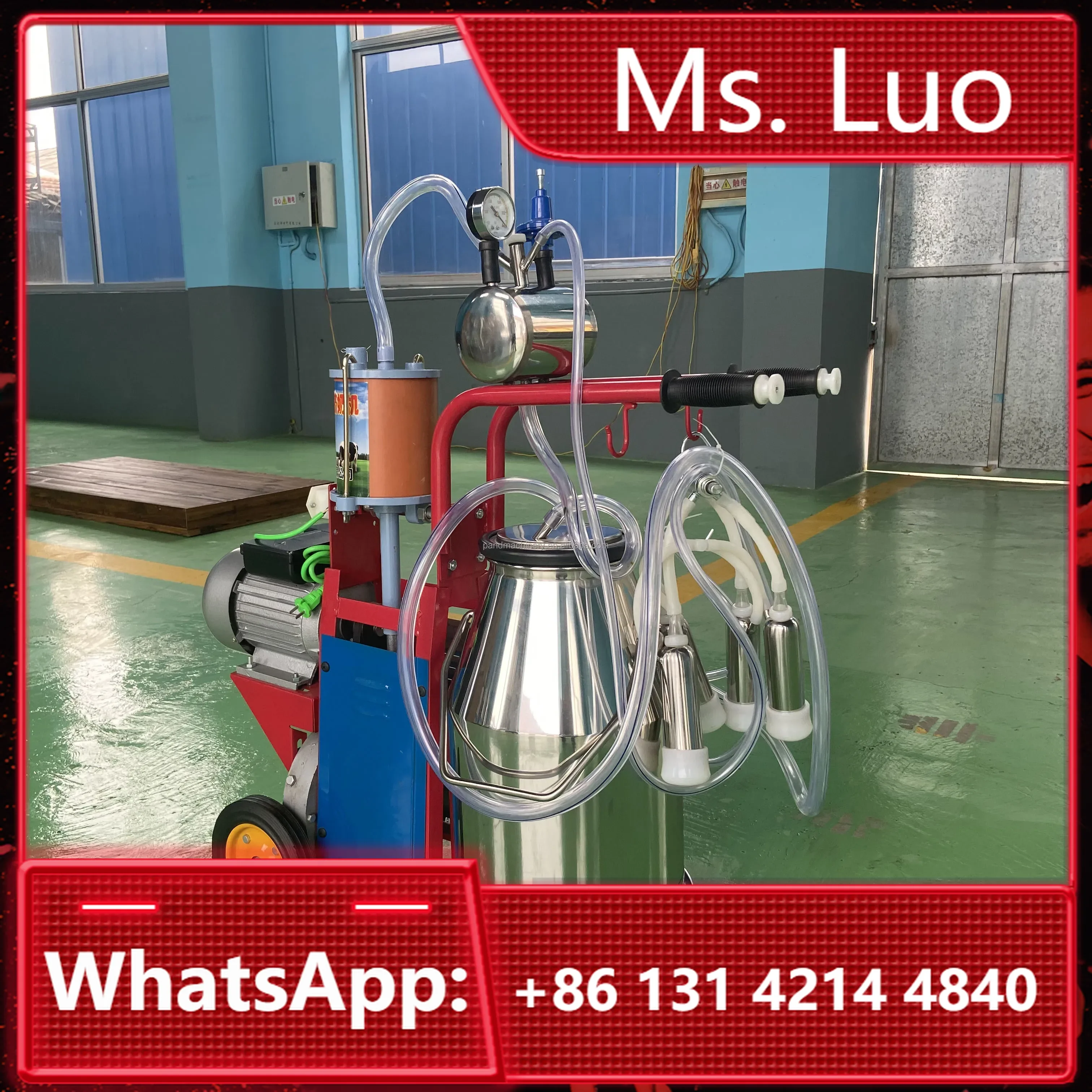 

Full Automatic Stainless Steel Piston Milking Machine for Sheep and Cow 4-Headed Food Grade