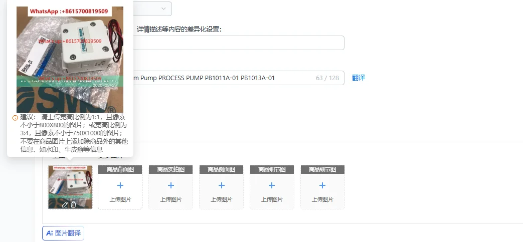 Applicable to Diaphragm Pump PROCESS PUMP PB1011A-01 PB1013A-01