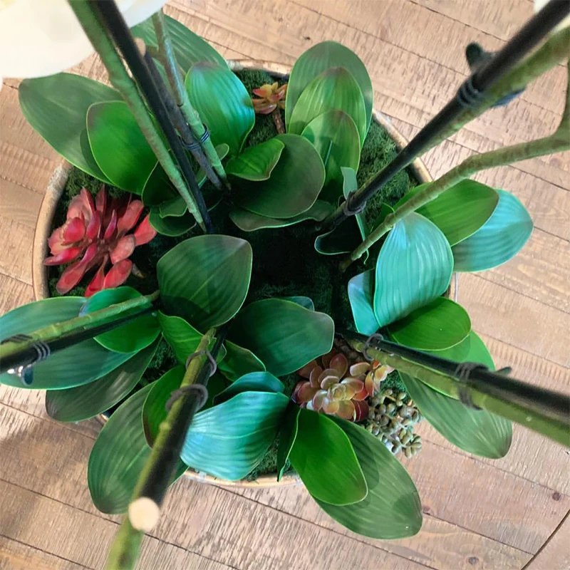 1 قطعة كبيرة الحجم الاصطناعي الأخضر فالاينوبسيس محاكاة العثة الأوركيد ورقة اللاتكس الحقيقي اللمس النباتات الخضراء 5 بتلات لحديقة الزهور