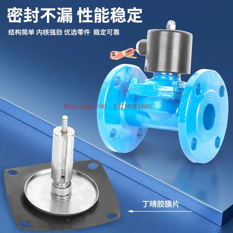 Cast Steel Flange Solenoid Valve 220V24VDN25 30 40 50 Outdoor Waterproof Normally Closed Solenoid Control Valve