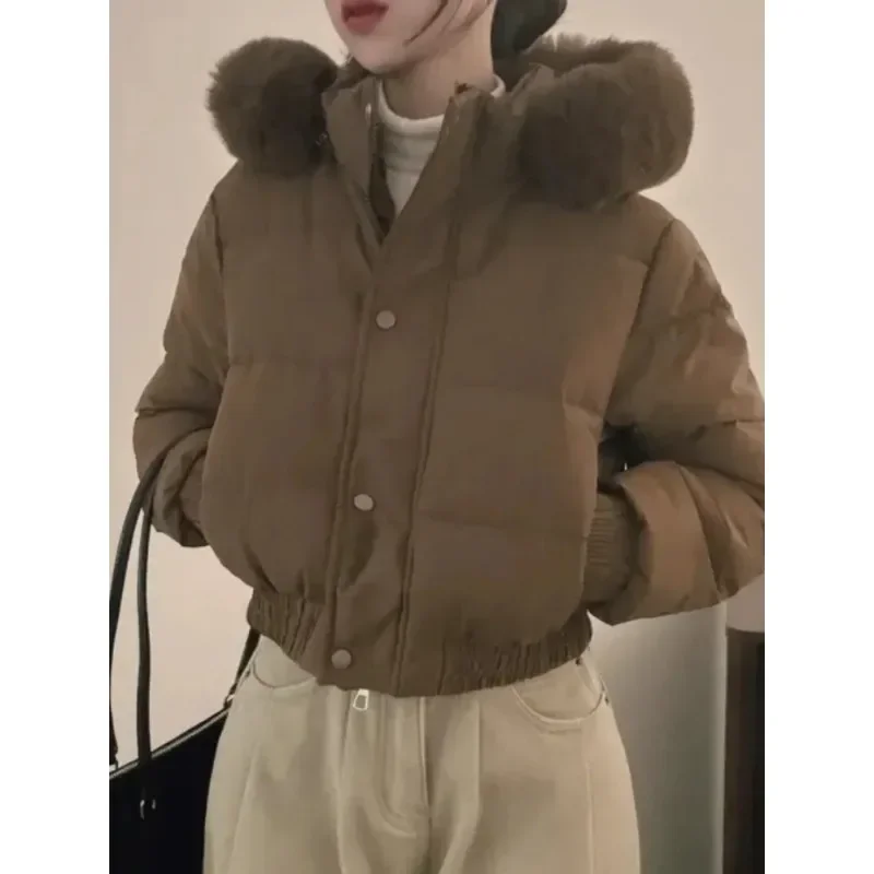 South korea Chic Autumn and Winter Fur Collar Hood Short down Coat Women Fashion Thick Warm Fleece-lined Cotton-padded jacket...