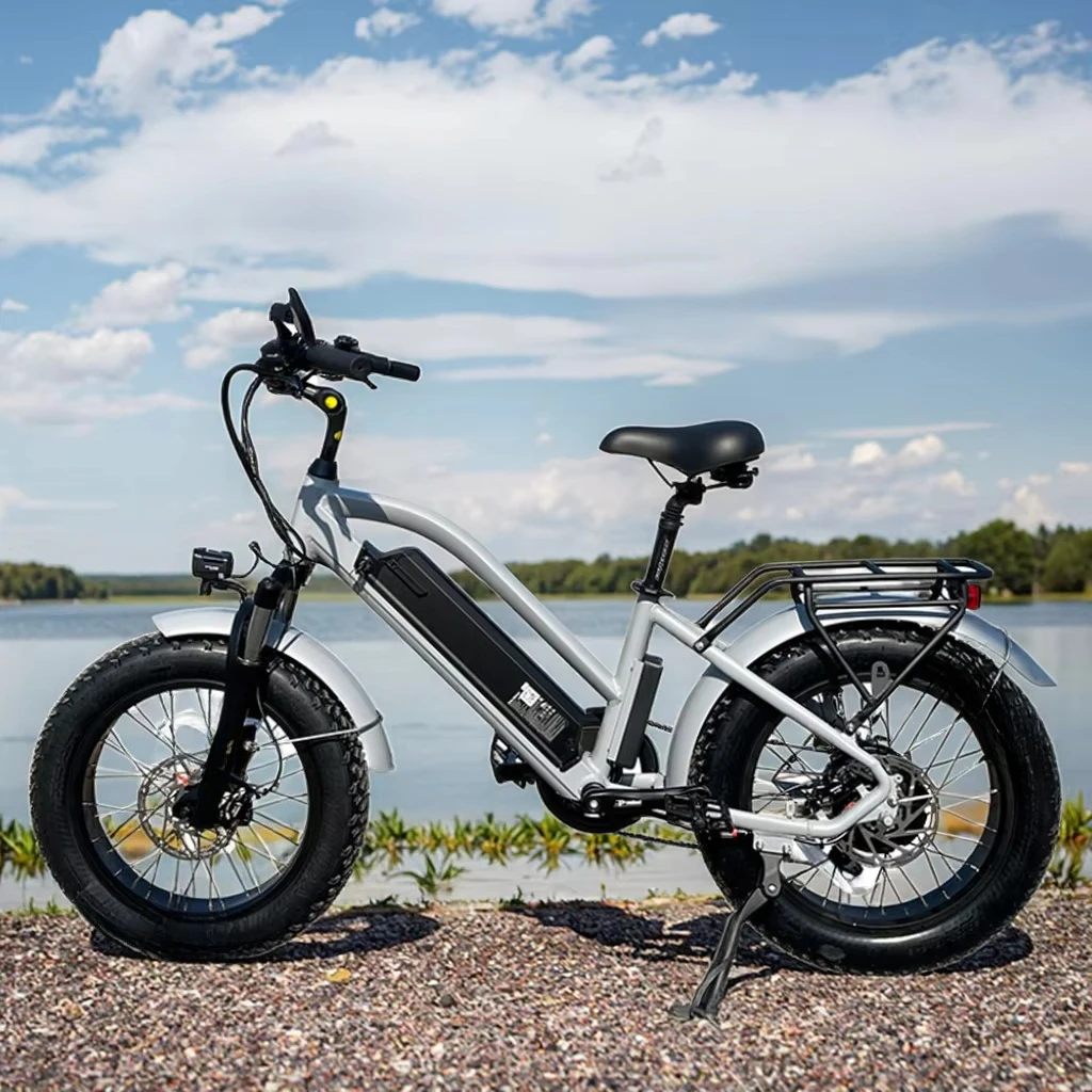 DXY directly from the manufacturer Urban Comfort 500W 48V Fat Tire Electric Bike, Adult Urban Street Electric Bike