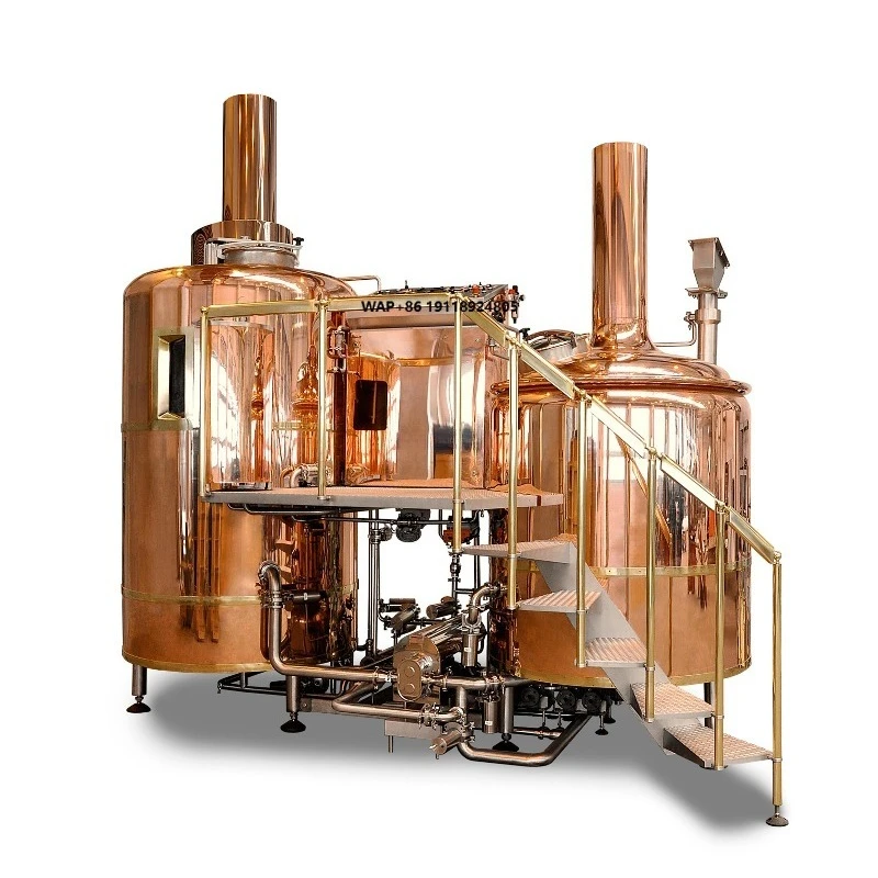 Germany Technology 300L 500L Micro Brewery Fermenting Equipment for Small Scale Beer Brewing
