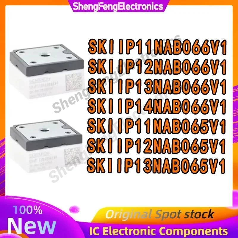

SKIIP11NAB066V1 SKIIP12NAB066V1 SKIIP13NAB066V1 SKIIP14NAB066V1 SKIIP11NAB065V1 SKIIP12NAB065V1 SKIIP13NAB065V1 Power module