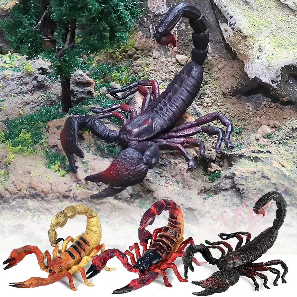 ของขวัญการศึกษาของเล่น Prank Props วิทยาศาสตร์ธรรมชาติรุ่น Scorpion ฮาโลวีนแมลง Figurine เด็กความรู้ความเข้าใจ