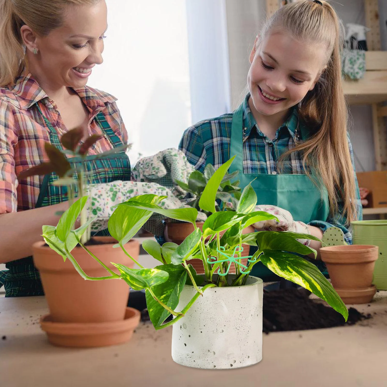 

12Pcs Plant Climbing Frame Reusable Stem Holders for Houseplants Support Clips Adjustable Trellis for Indoor