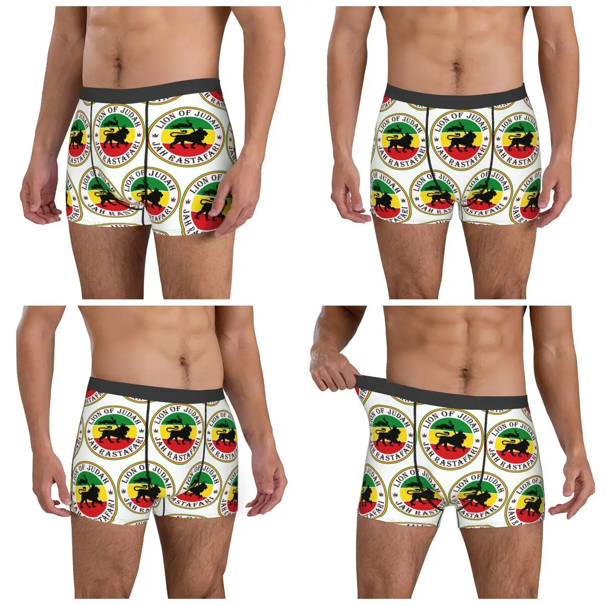 Boxer Underpants Shorts Rasta Lion Of Judah Star Of David Panties Men Ventilate Underwear for Homme Man Boyfriend Gift