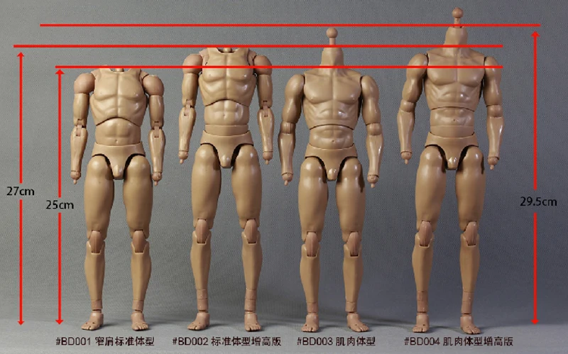 1/6 25cm/27cm Male Standard Muscle Body BD001/BD002/BD003/BD004/BD007/BD008/BD009/BD010 for 12\'\' Action Figure Model