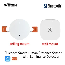 MmWave-Sensor de movimiento BLE de presencia humana, Bluetooth, con detección de luminancia/distancia, 5V, 110/220V, Automatización del hogar, Tuya Smart Life