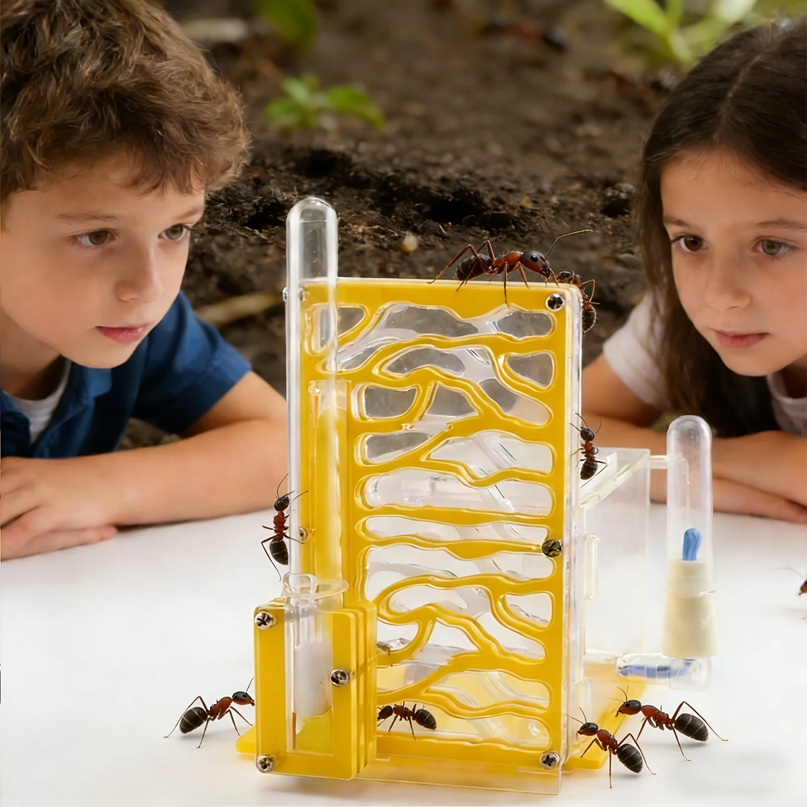 DIY assembly of T-shaped ant nest acrylic high transparency ant house with built-in feeding area, insect feeding villa