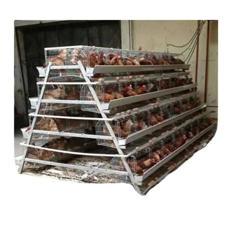 Best Sell Automatic Feeders Layer Hens Battery Chicken Farm Laying Bird Cage For Layer Animal Husbandry Equipment