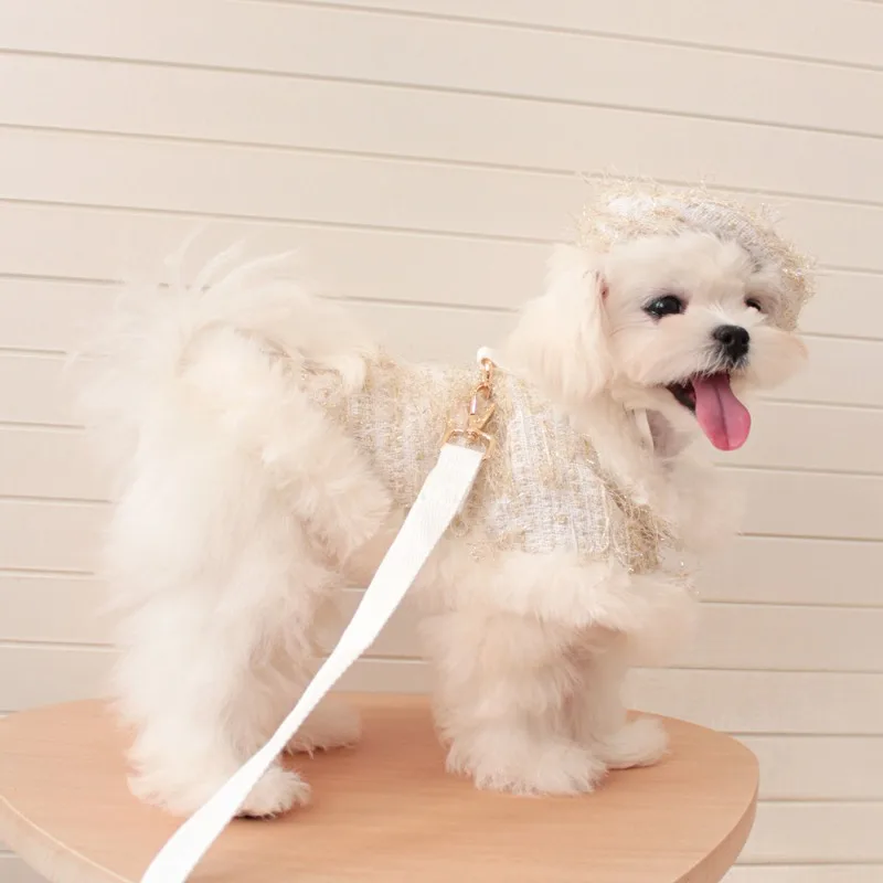 Ins Pet Plaid Woolen Dogs Coat Cloak Pet Supplies Princess Dog Clothes Dog Harnesses With Rope For Small Dog