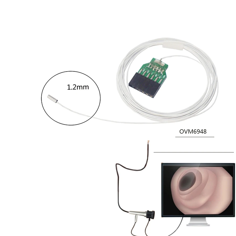 Professional  200*200 Endoscopy  OVM 6948 Camera ERCP Spyglass