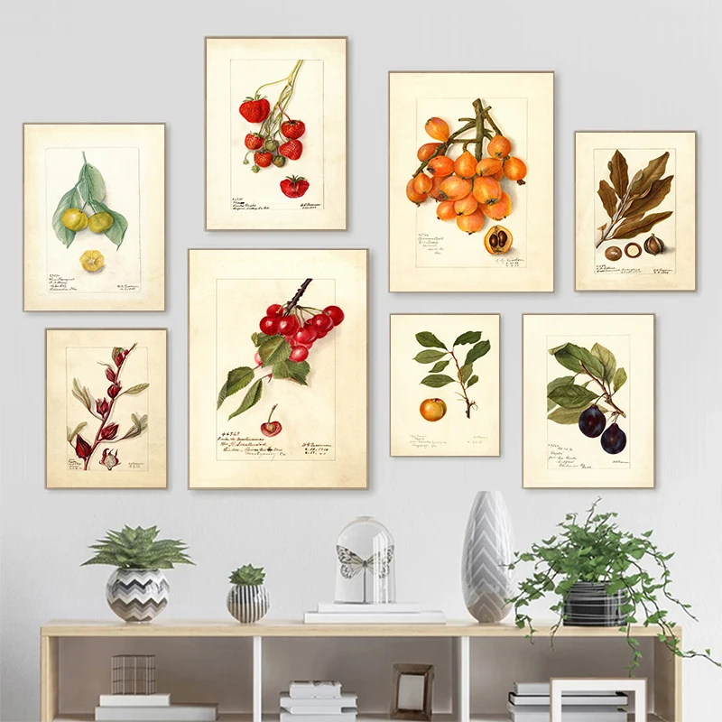 Retro Botanical Fruit Loquat Lychee Cherry Vintage Posters and Prints Wall Art Canvas Painting Wall Pictures Kitchen Decoration