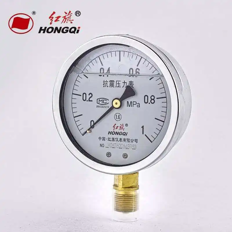 YTN-100 Radial 0~1.6MPa Seismic Pressure Gauge, Complete Specifications, Stable Performance, Seismic Resistant
