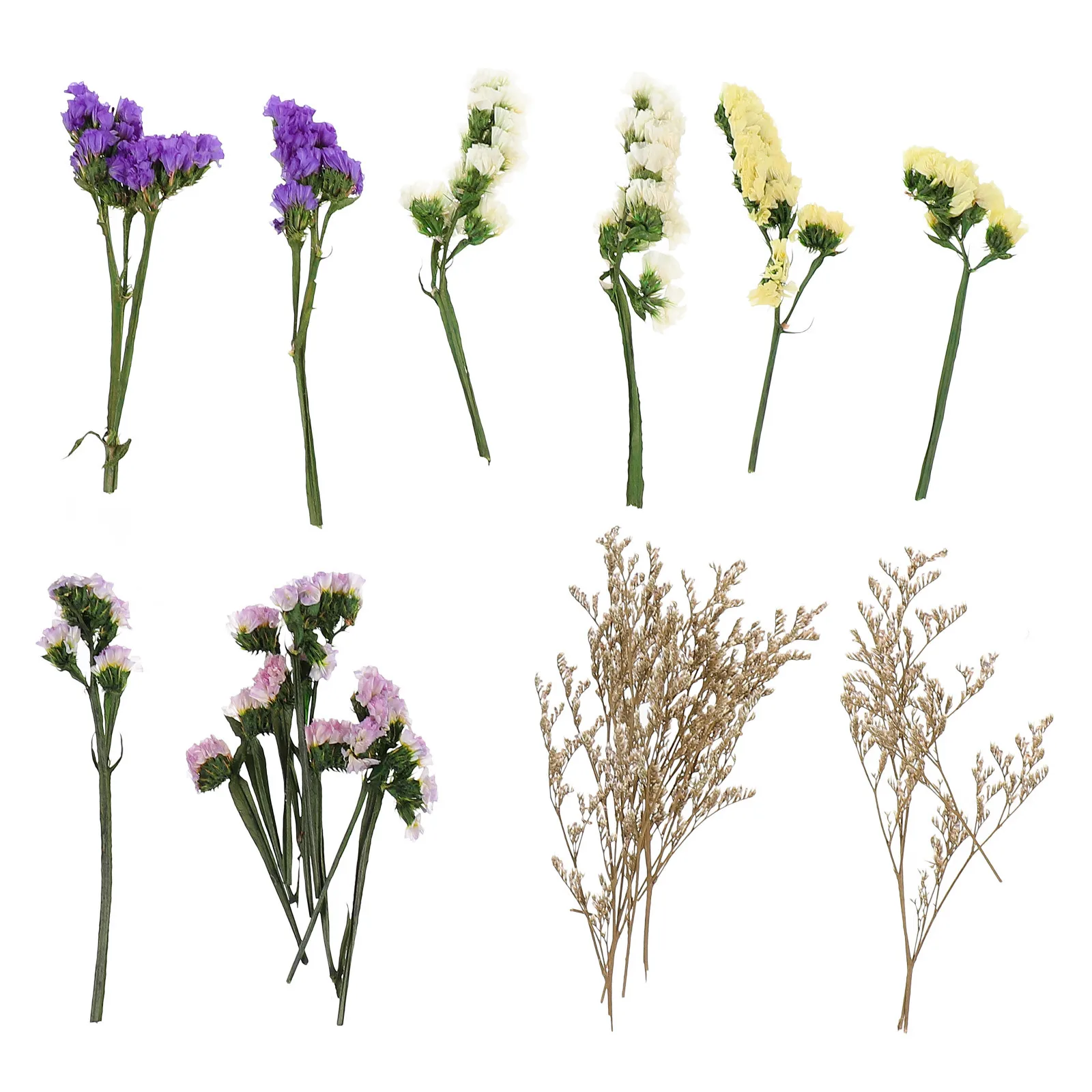 

1 Box Natural Dried Flowers For Diy Floating Vase Filler Party Wedding Decoration Craft Gift Dried Flower Centerpiece