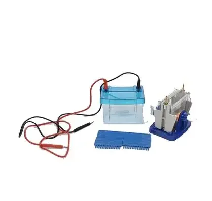 

Lab Mini Modular Dual Vertical Gel Electrophoresis Cell System High quality