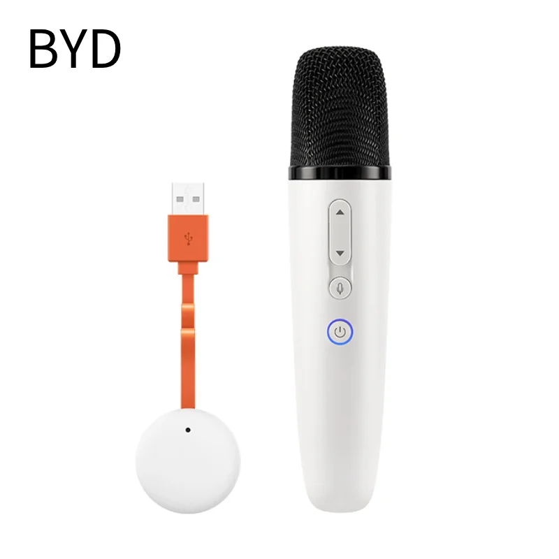 BYD公式工場製 車載マイク レシーバー付き、BYD全車種対応カラオケ
