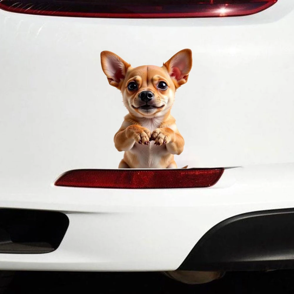 Adorable Chihuahua Puppy Waterproof Car Decorative Decal, Suitable for Cars, Laptops, Bumpers, Glass Window Sticker